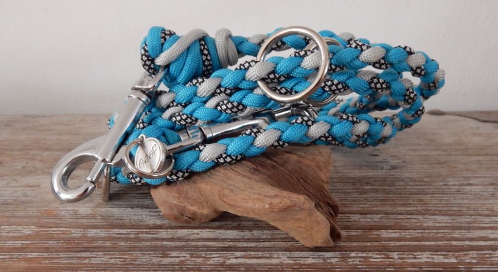 halsband lijnen honden