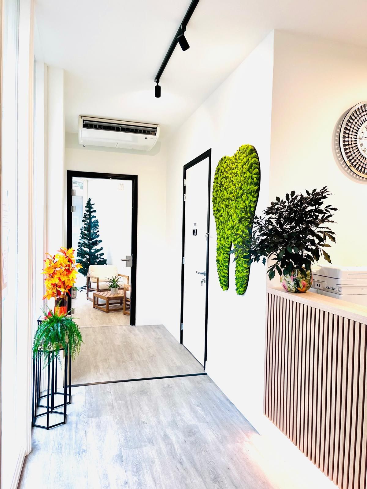 Gang van een tandartspraktijk met een tandvormig kunstwerk van mos, plantendecoratie en een zichtbare wachtruimte.