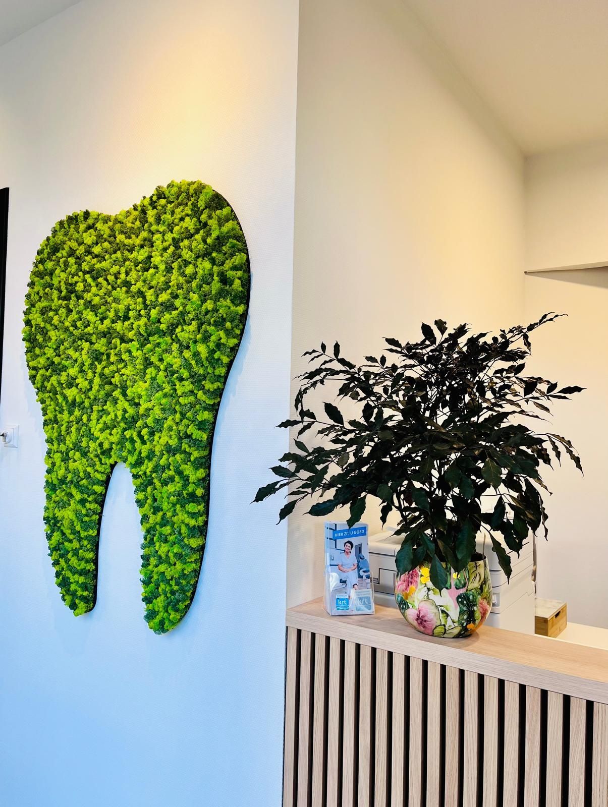 Een kunstwerk van groen mos in de vorm van een tand aan de muur naast een receptiebalie, met een plant in een vaas.