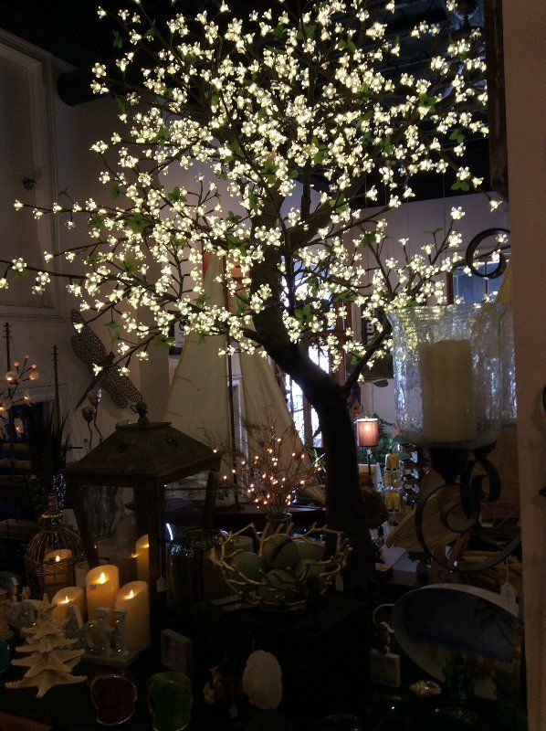 Shop — Lighted Tree in Wilmington, NC