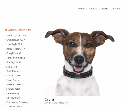 Stellar Loyalty Manager