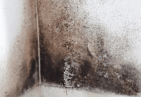wall condensation