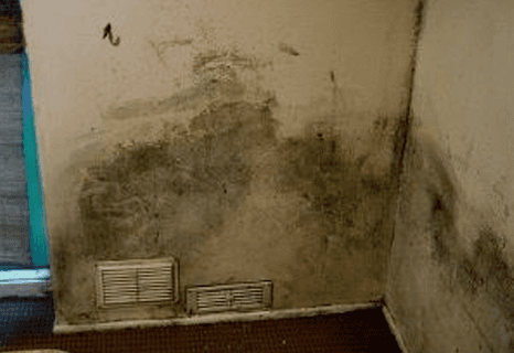 Treatments for rising damp
