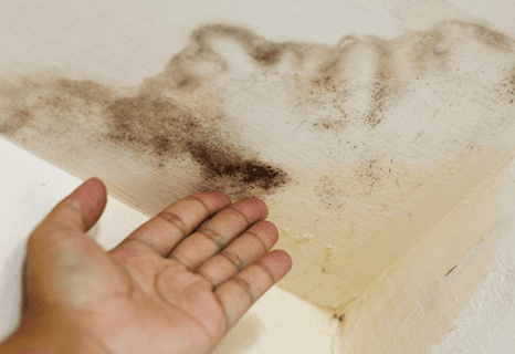 Condensation control and remedial mould treatments