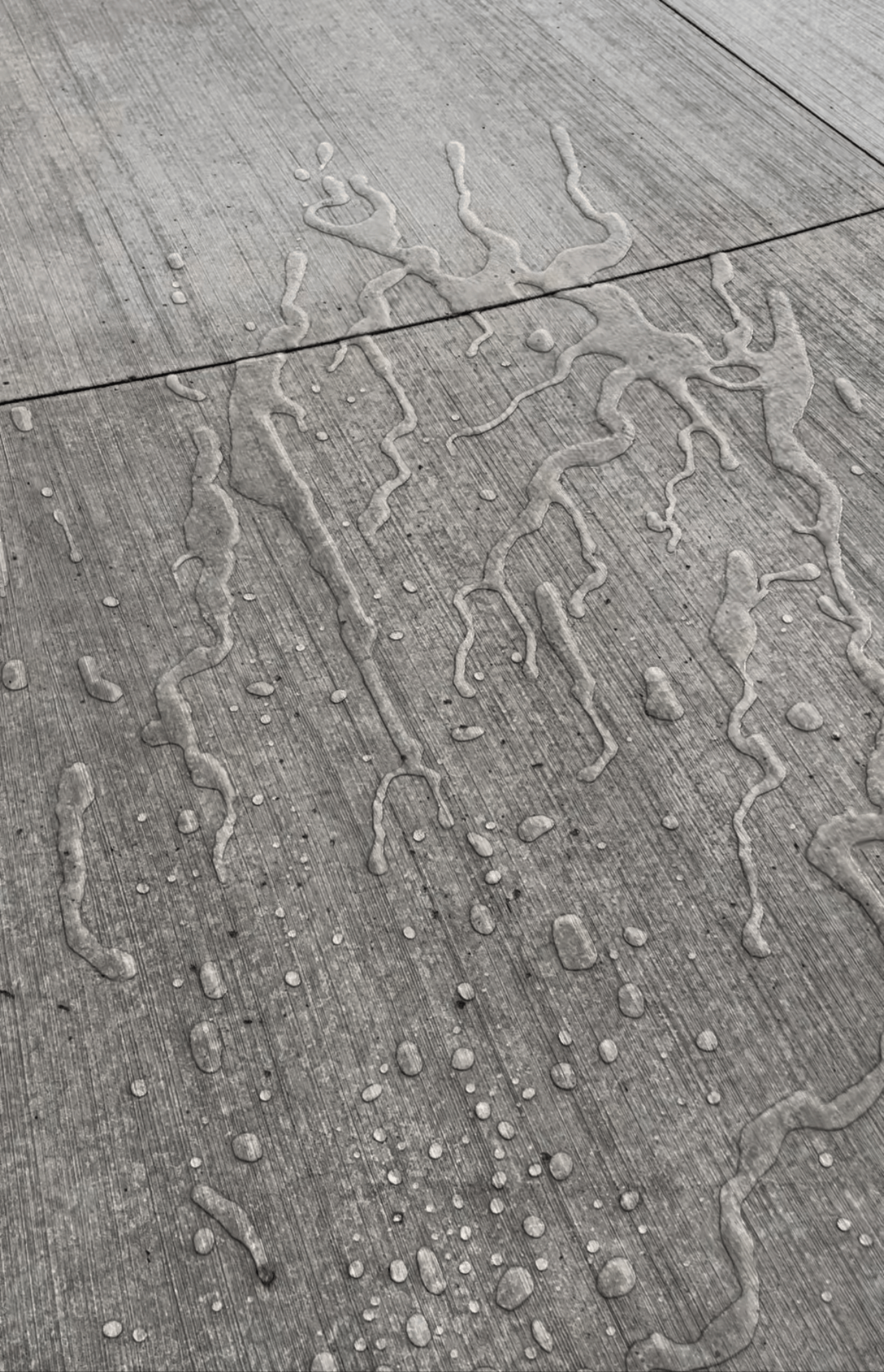 A black and white photo of water drops on a concrete surface.