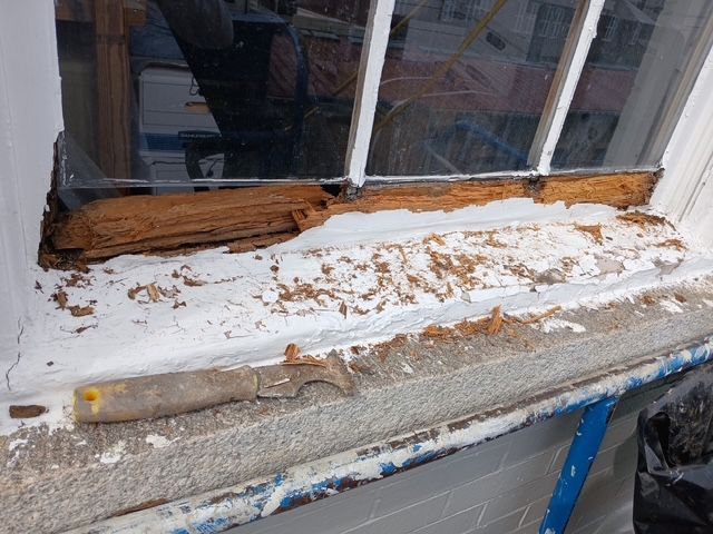 Window sill with rotted wood being scraped, covered in white paint and debris.