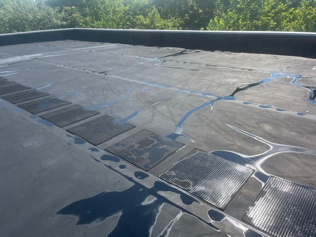 Black flat roof with dark patches, water puddles, and a tree line in the background.