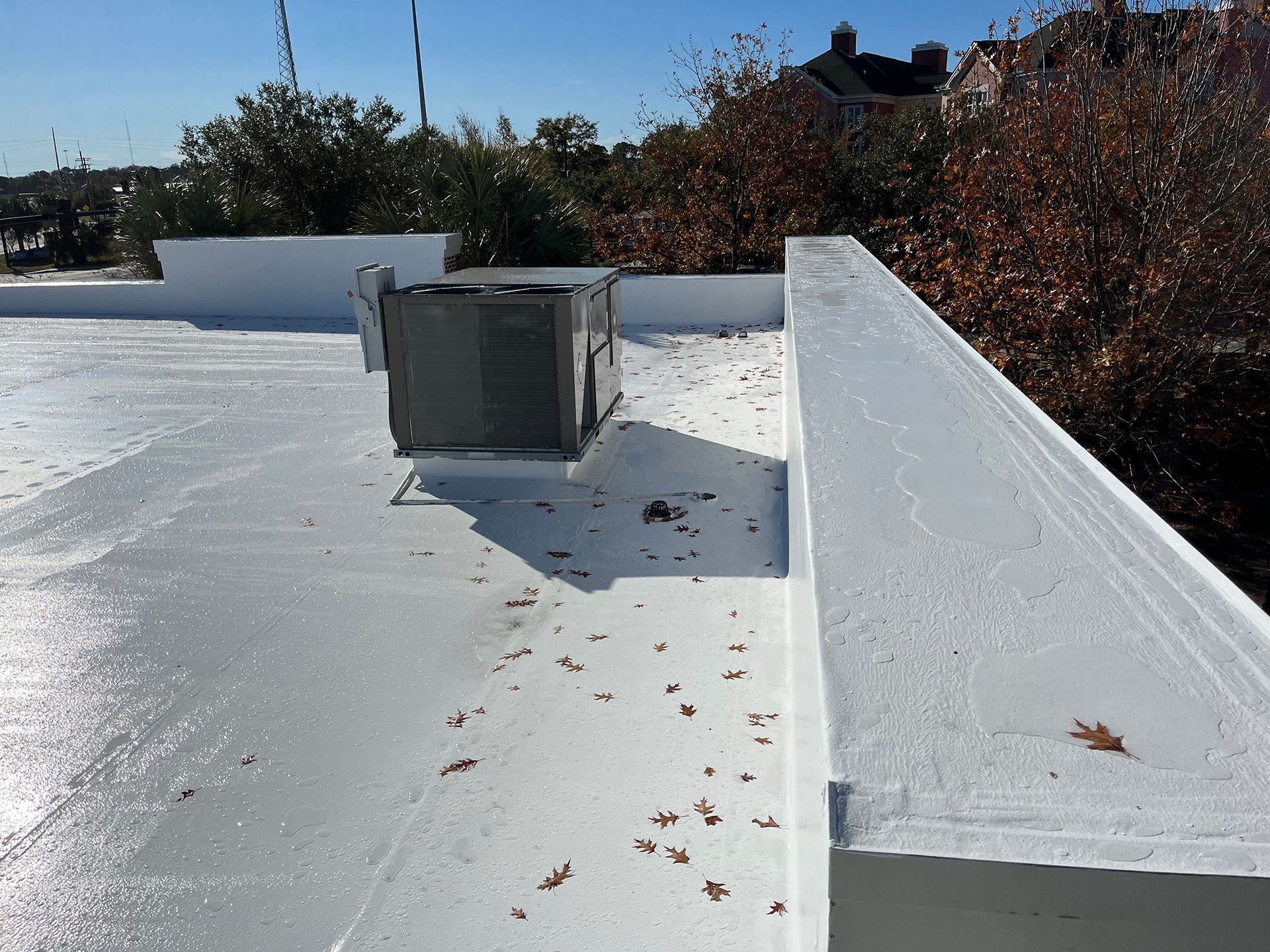 Flat white commercial roof with a weathered HVAC unit and surrounding foliage.