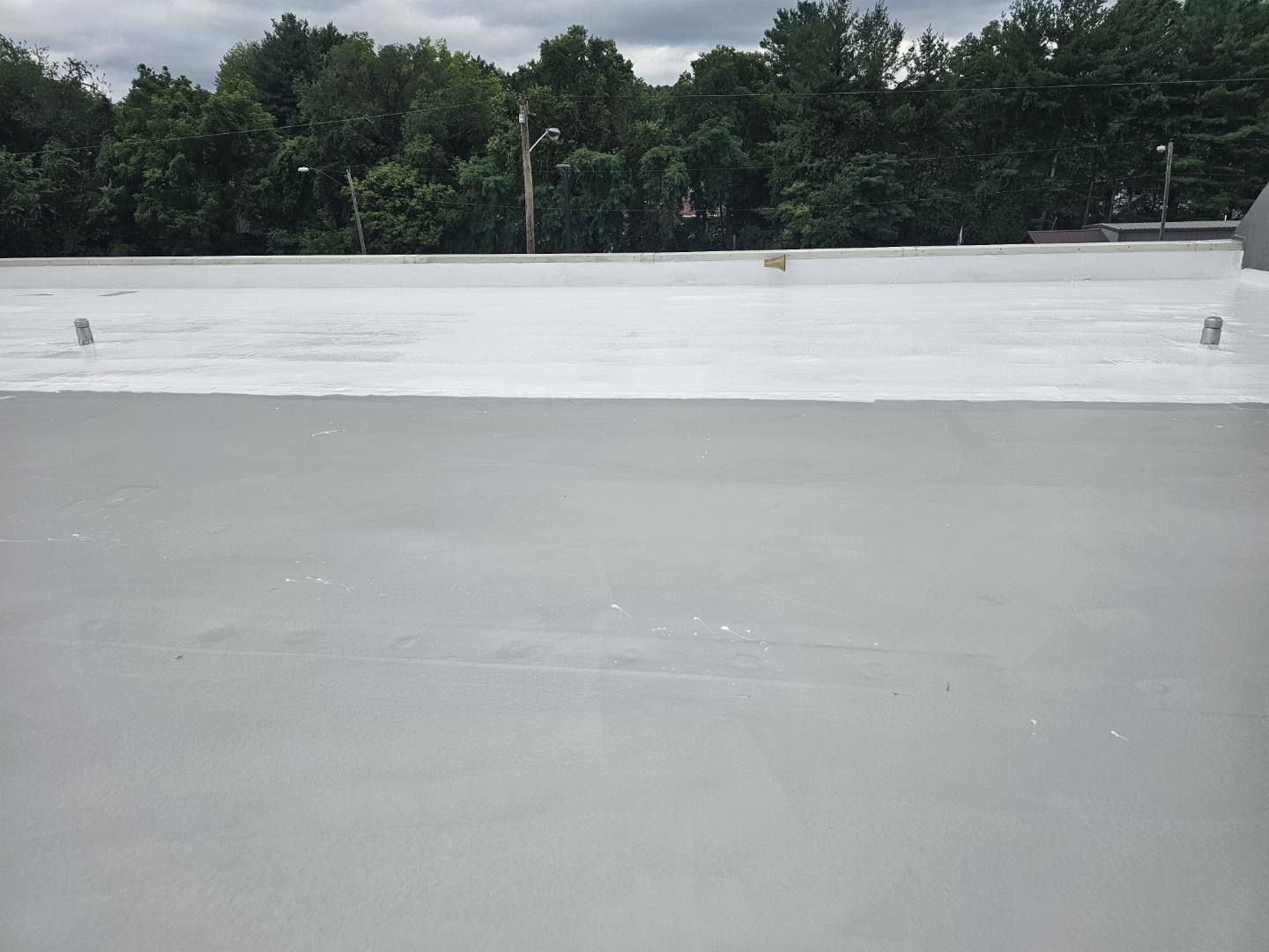 Flat roof with gray and light gray sections; trees in the background.
