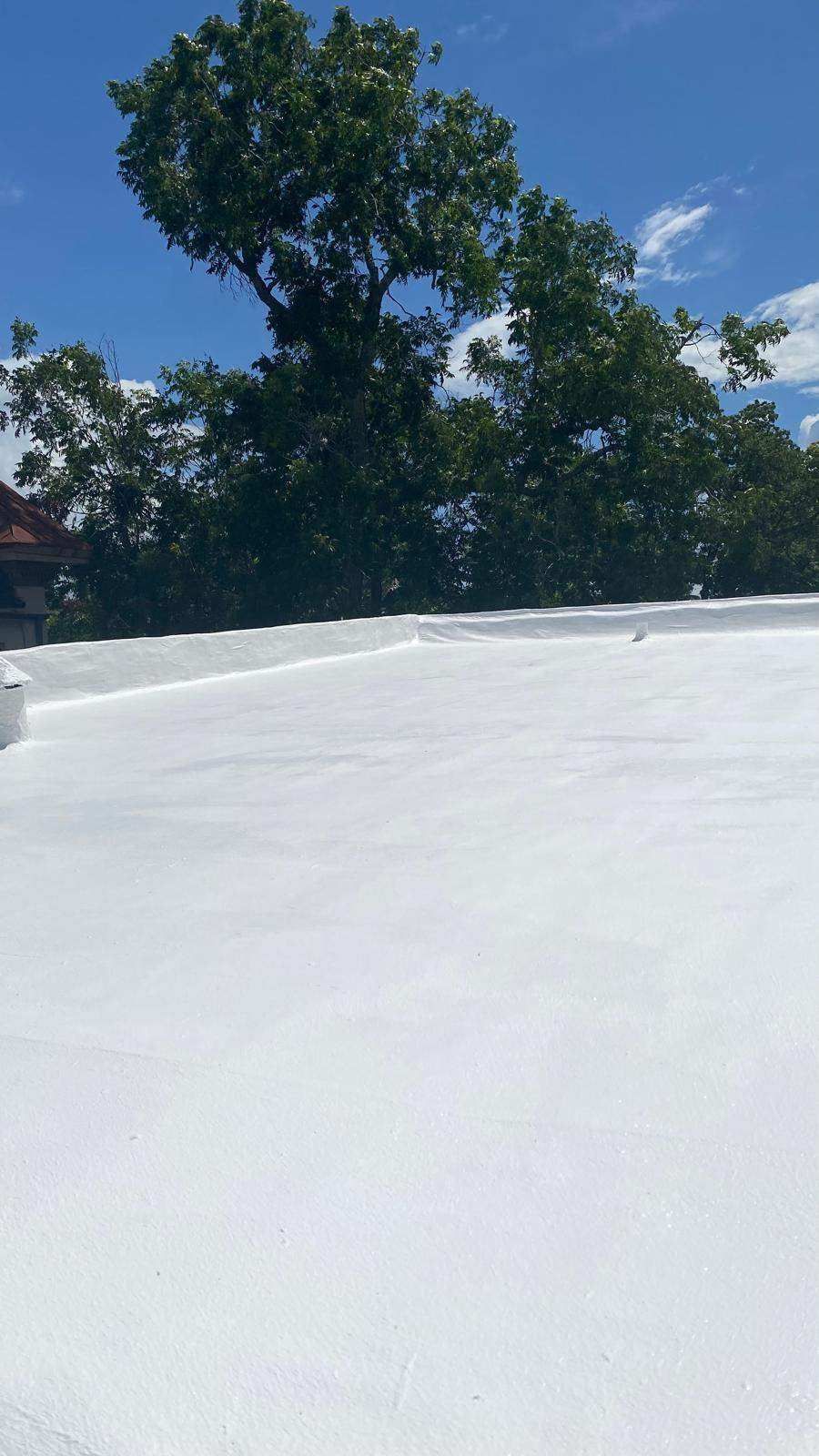 White roof under a bright blue sky with trees in the background.