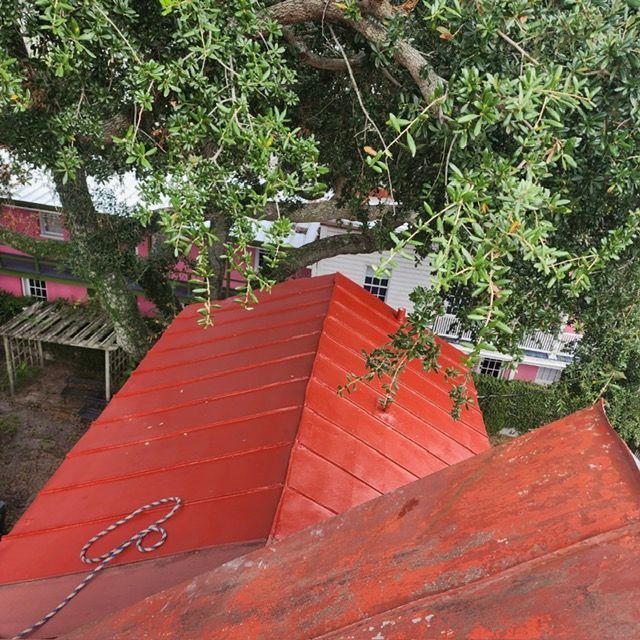 Red metal roof under a tree, buildings in the background. A rope lies on the roof.