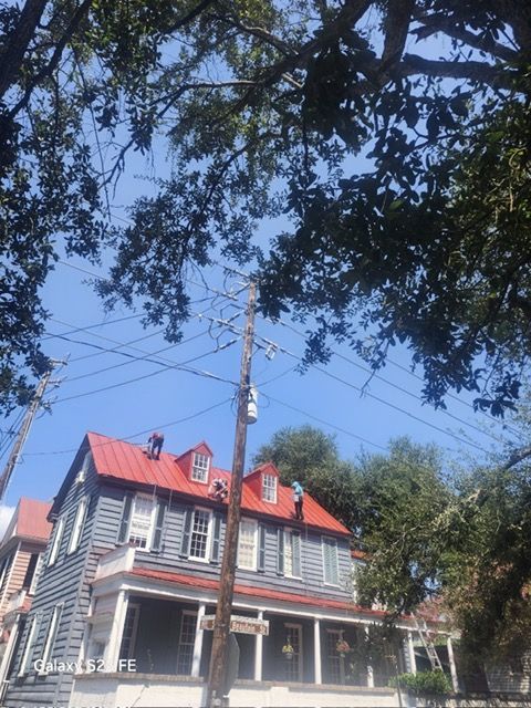 Blue house with red roof, framed by tree branches and power lines against a blue sky.