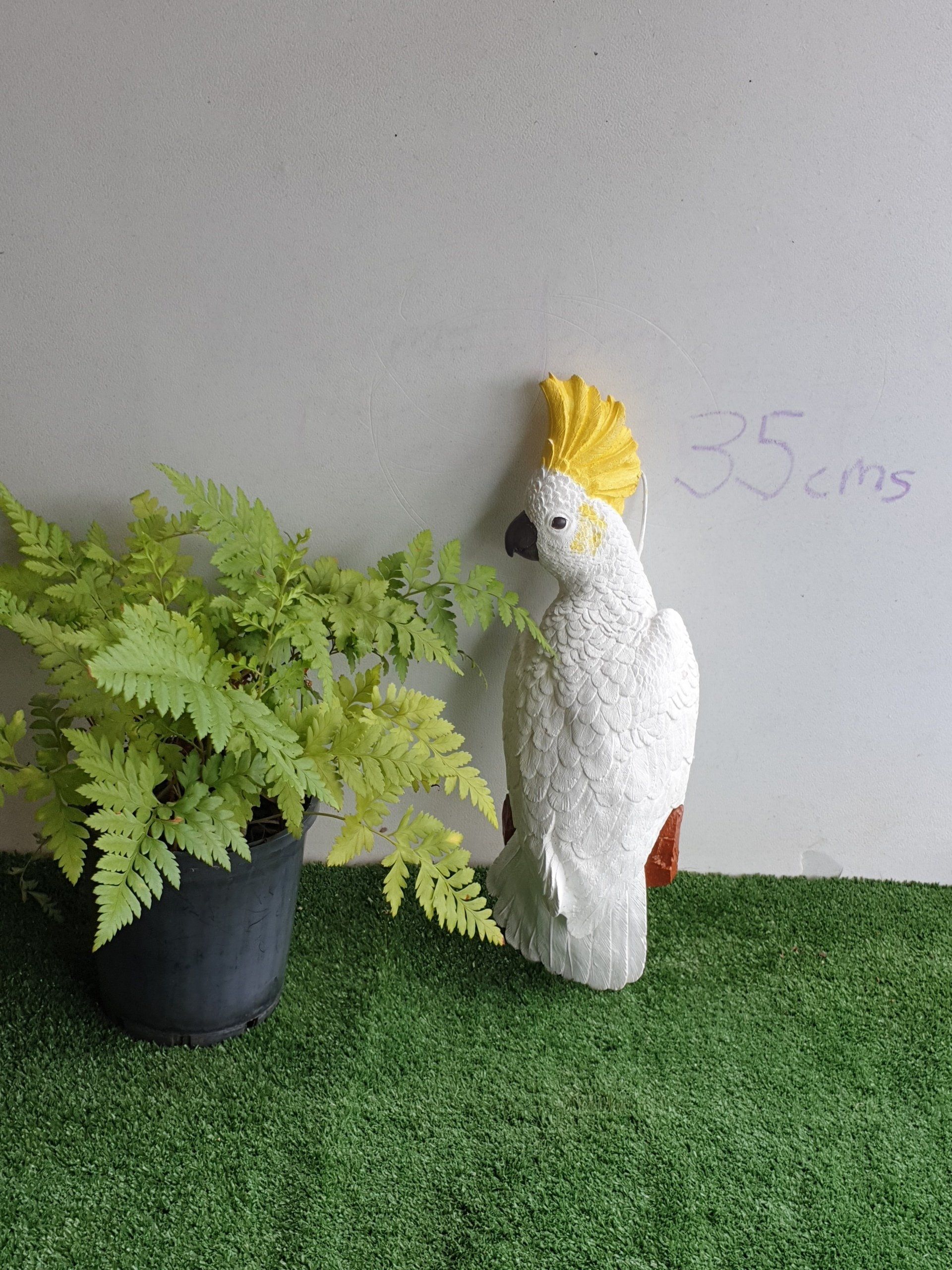 Hanging White Cockatoo