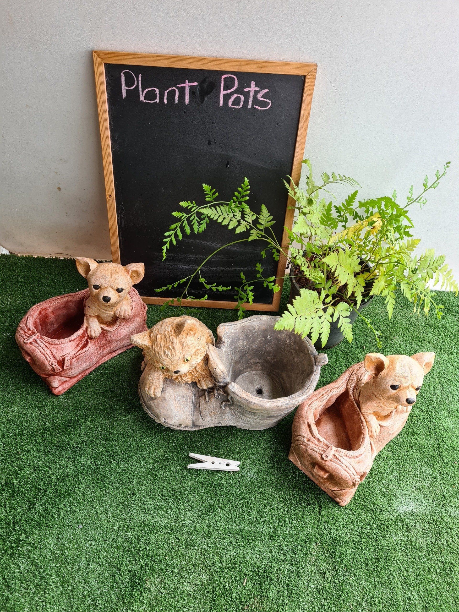 Planters with a Difference from $25