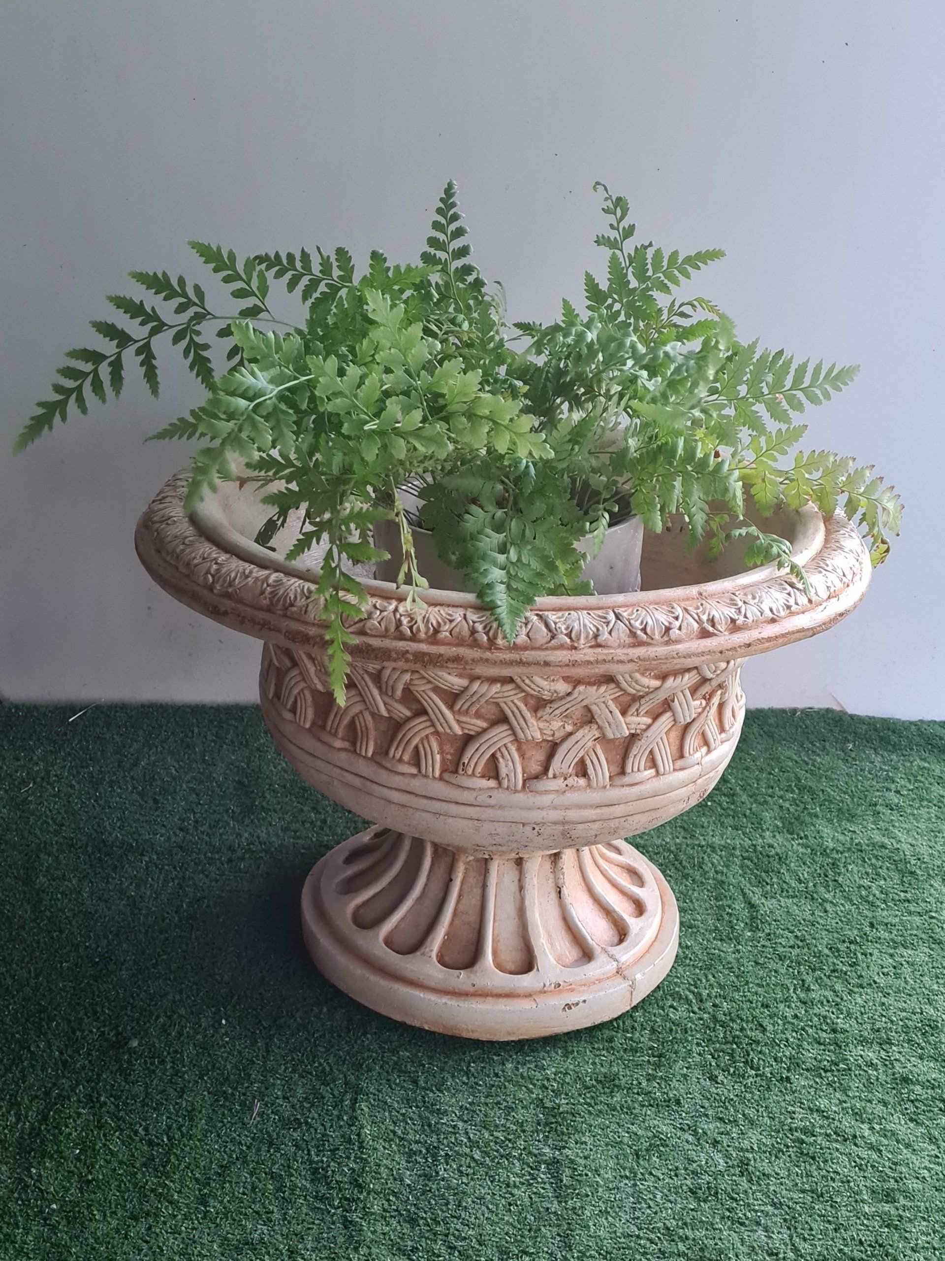 Concrete Planter