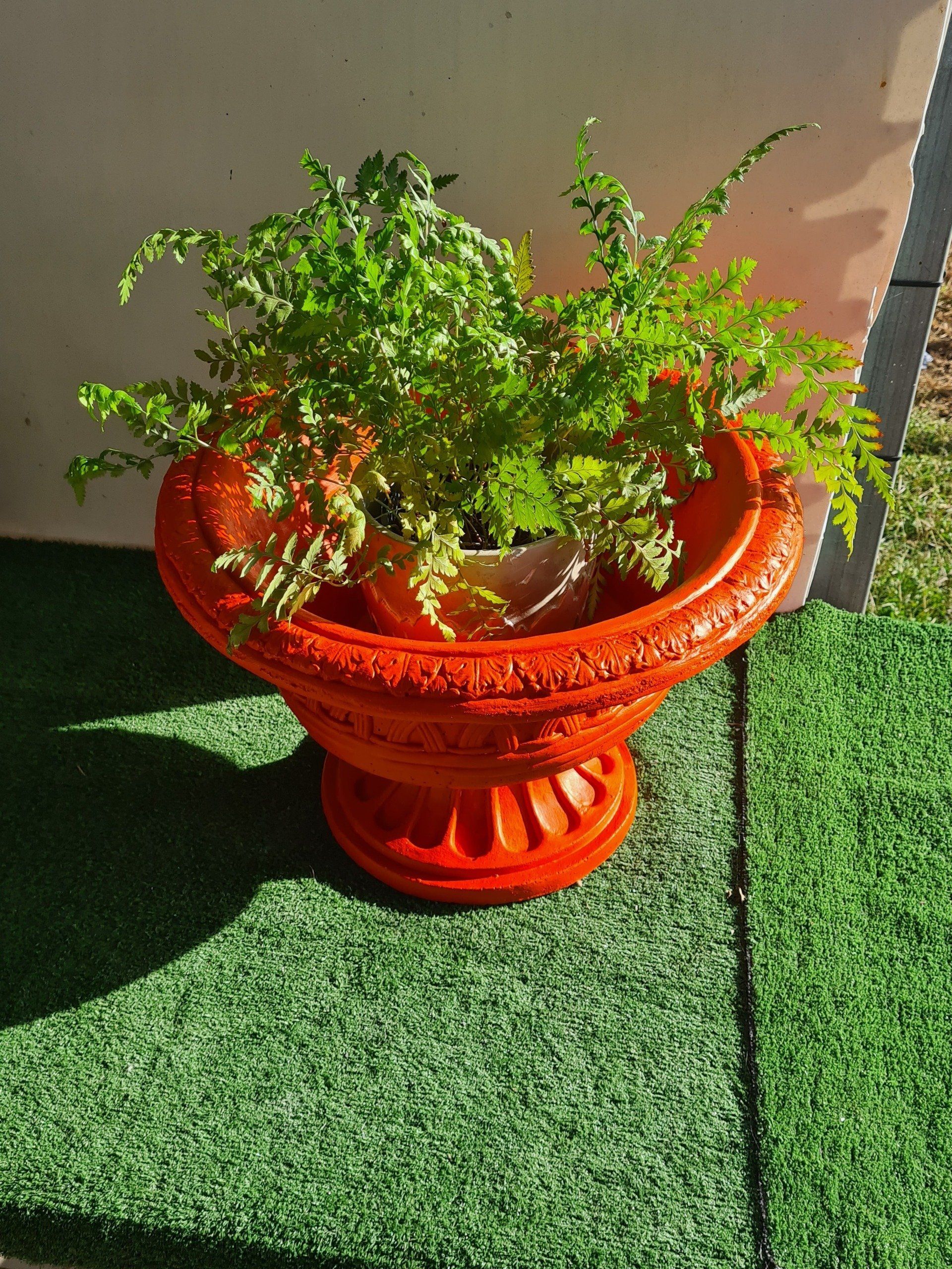Concrete Planter