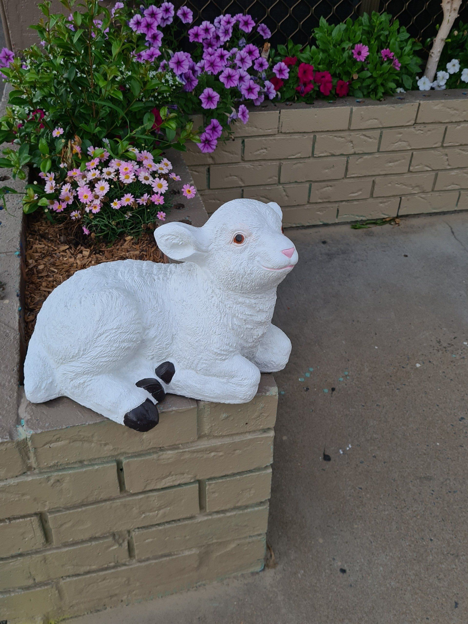 Mary had a little lamb