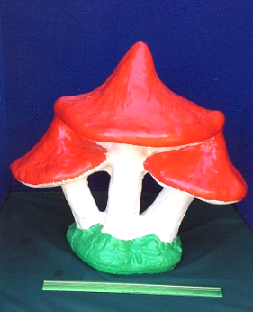 colorful mushroom