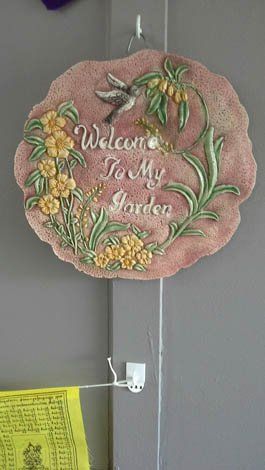 Welcome to My Garden