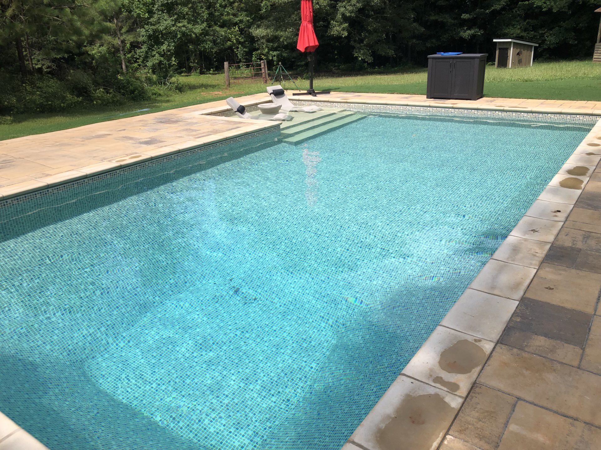 Minimalist backyard pool with clean lines and soft lighting