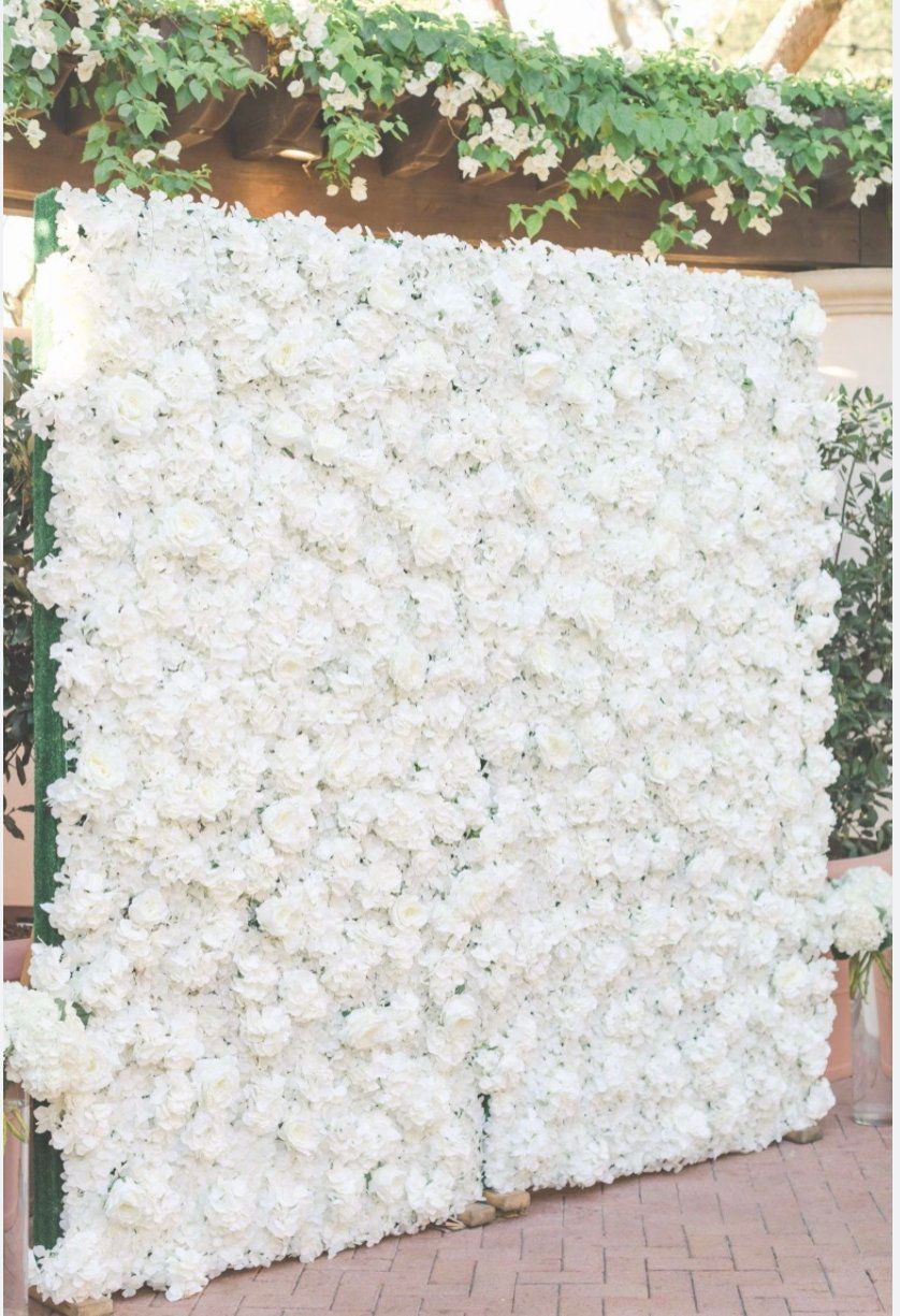 A wall of white flowers on a brick sidewalk