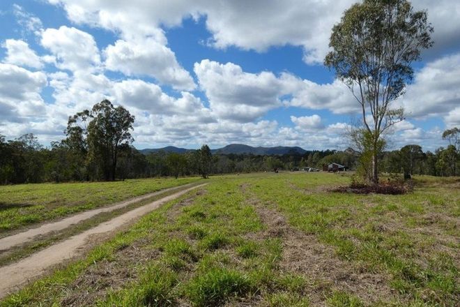 A Dirt Road In The Middle Of A Forest Surrounded By Trees — Paap's Cleansing Services In Lowmead, QLD