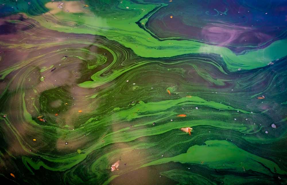 Oil on Water — Paap's Cleansing Services In Branyan, QLD