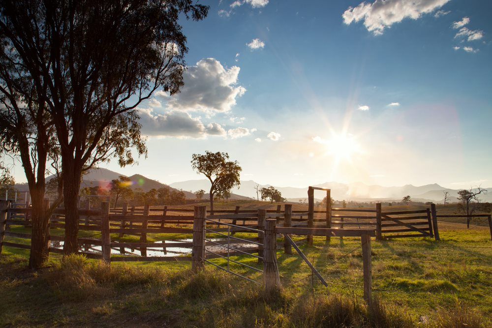 The Sun Is Setting Behind A Wooden Fence In A Field — Paap's Cleansing Services In Childers, QLD