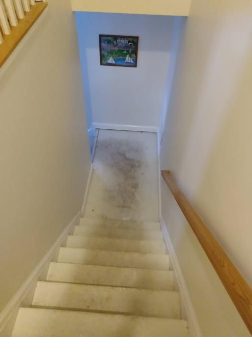 A staircase leading up to a basement with a picture on the wall above the stairs.