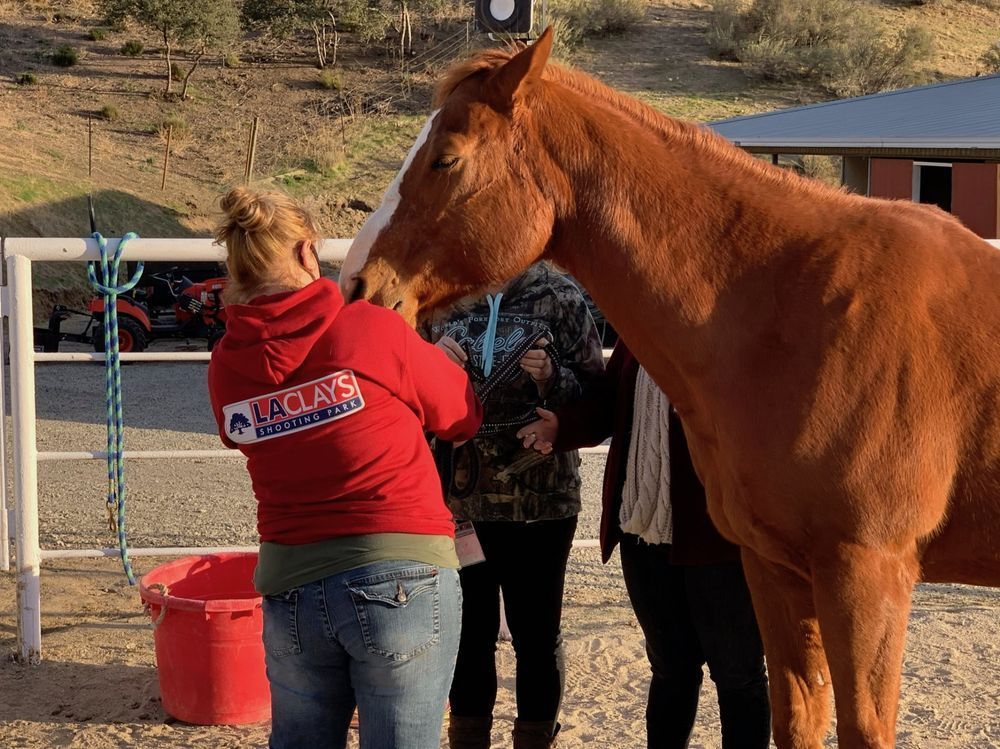 Woman in red hoodie pets a reddish-brown horse outside. Two people watch in the background.