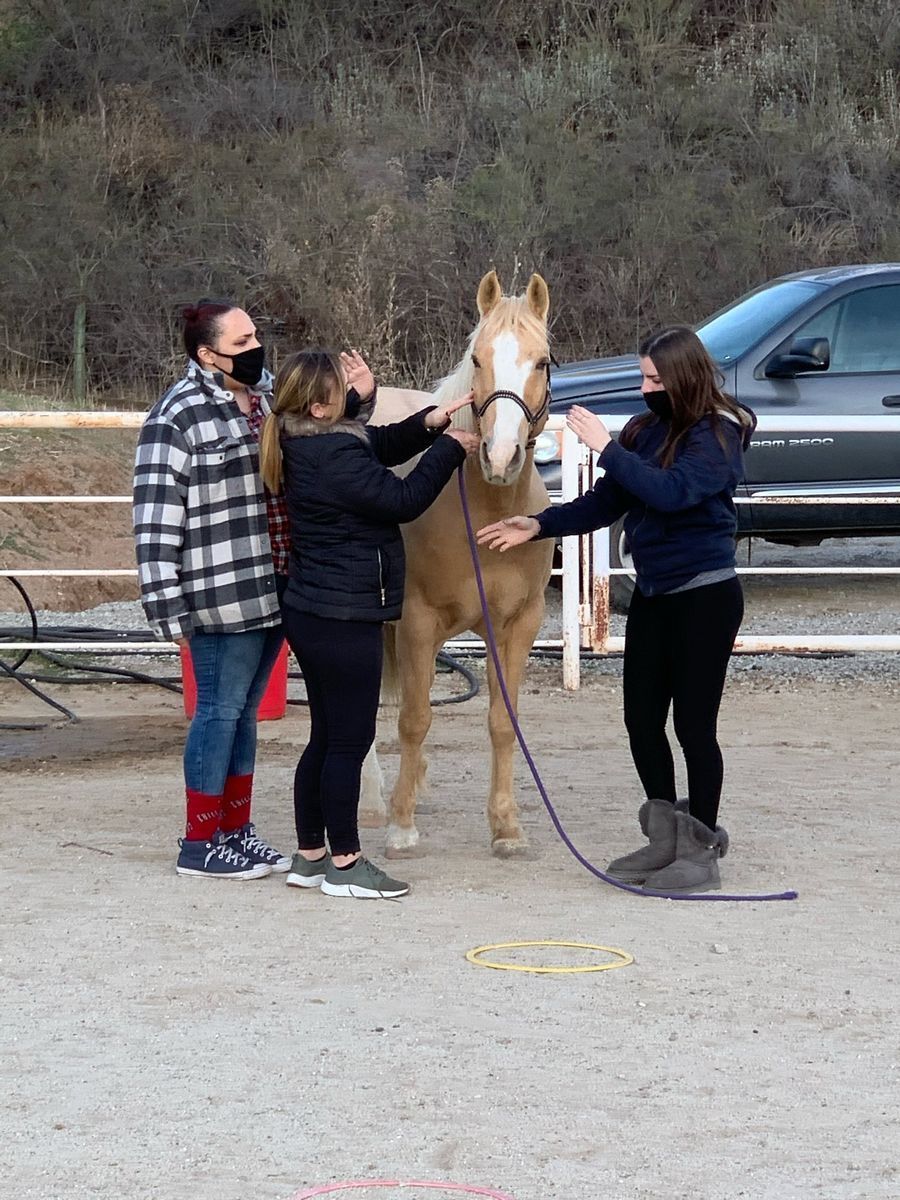 Three people with masks examining a palomino horse in an outdoor setting.