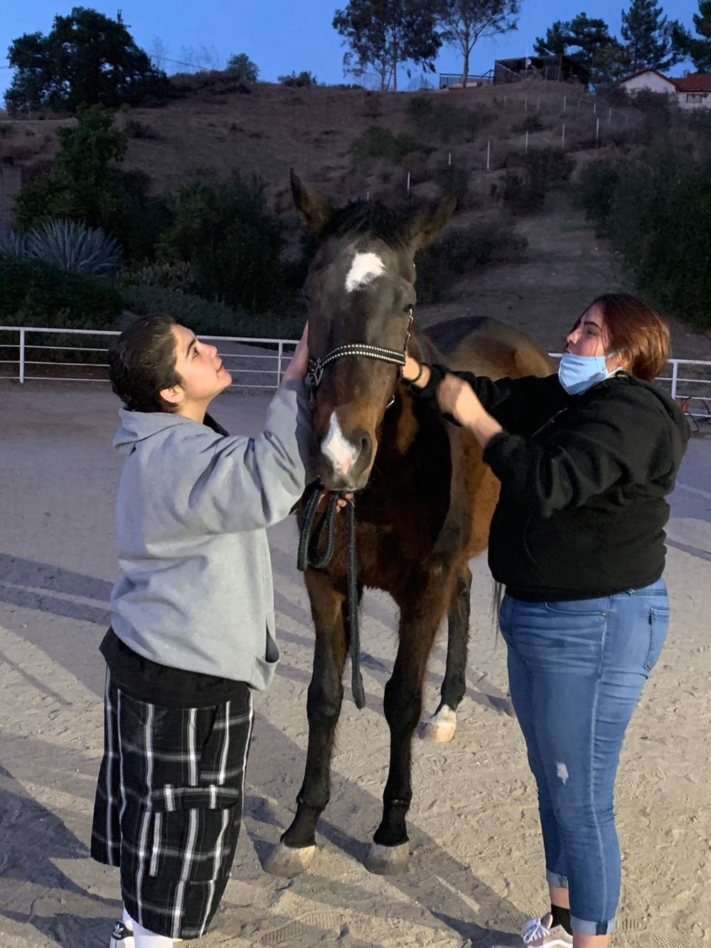 Two people adjusting a horse's halter in an outdoor riding arena. Dusk, with hills in the background.