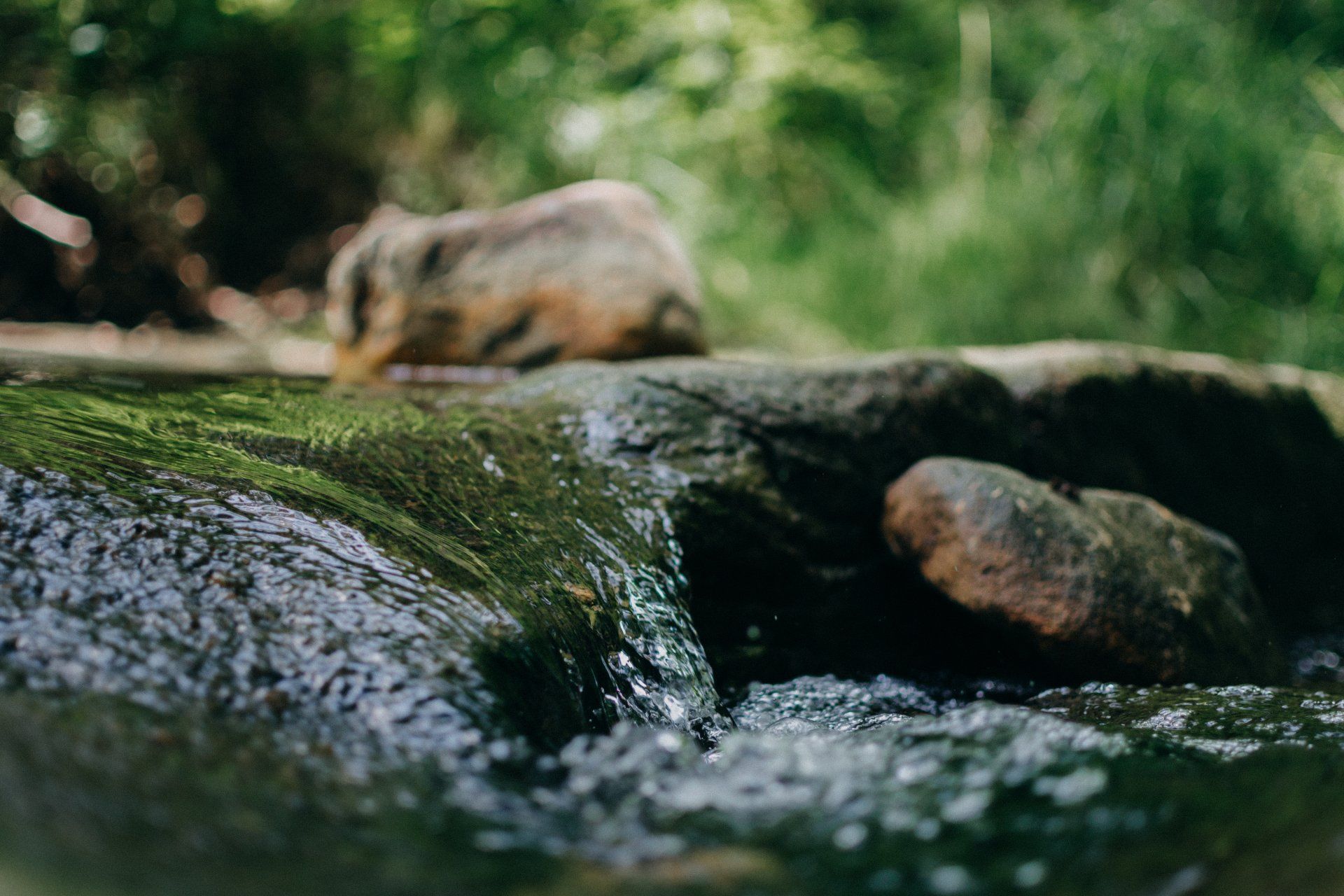 Water flowing over moss-covered rocks in a creek. A blurred rock sits in the background. Green grass.
