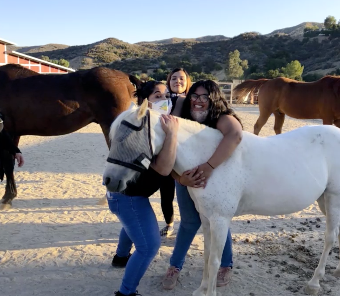Three people hug a white horse in a dusty paddock near a barn and hills. All wear masks.