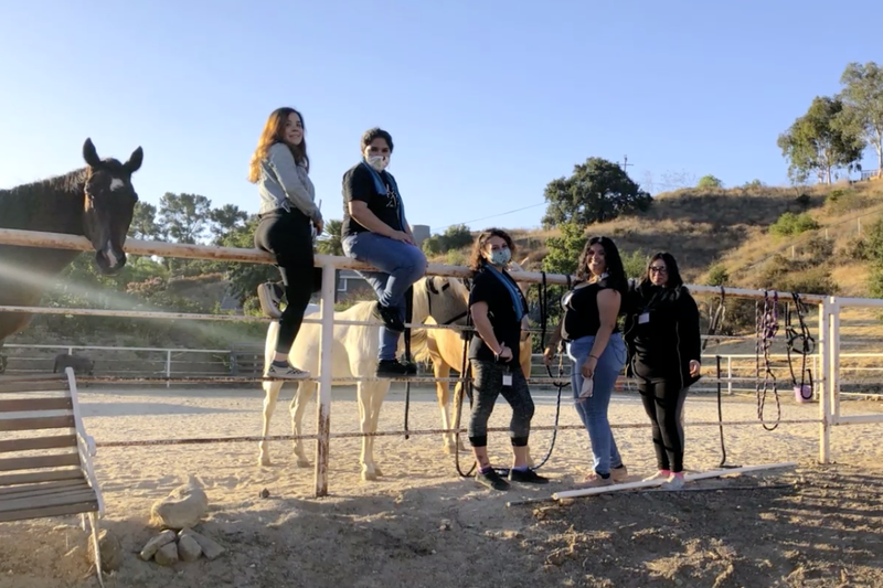 Four people and two horses pose outdoors near a fence. People wear masks, one on a horse, with a horse looking on.