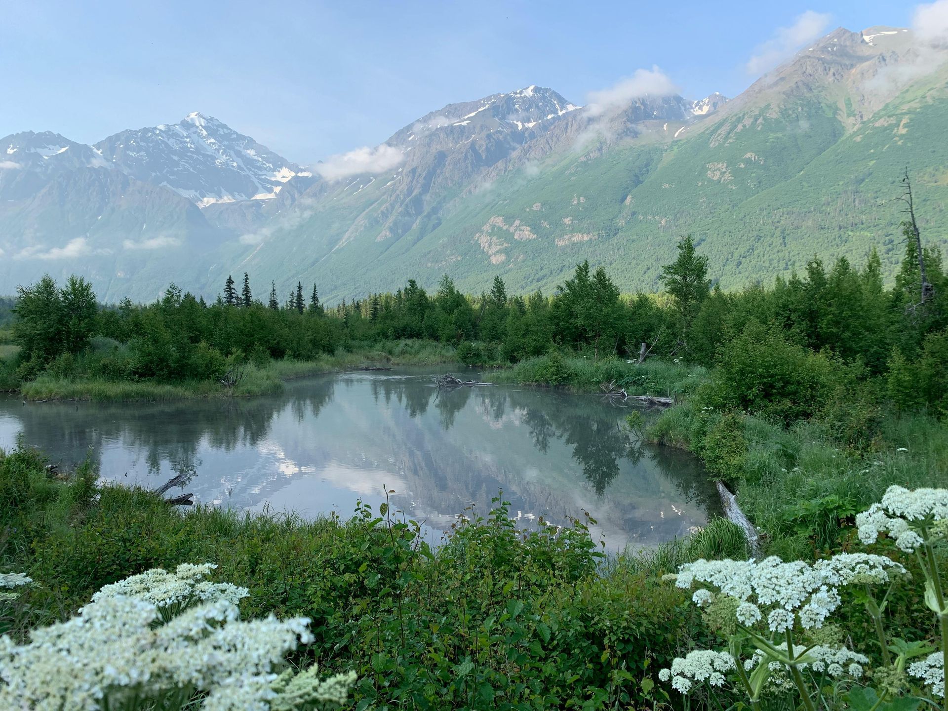 Mountains reflected in calm water, with green trees and white wildflowers in the foreground.