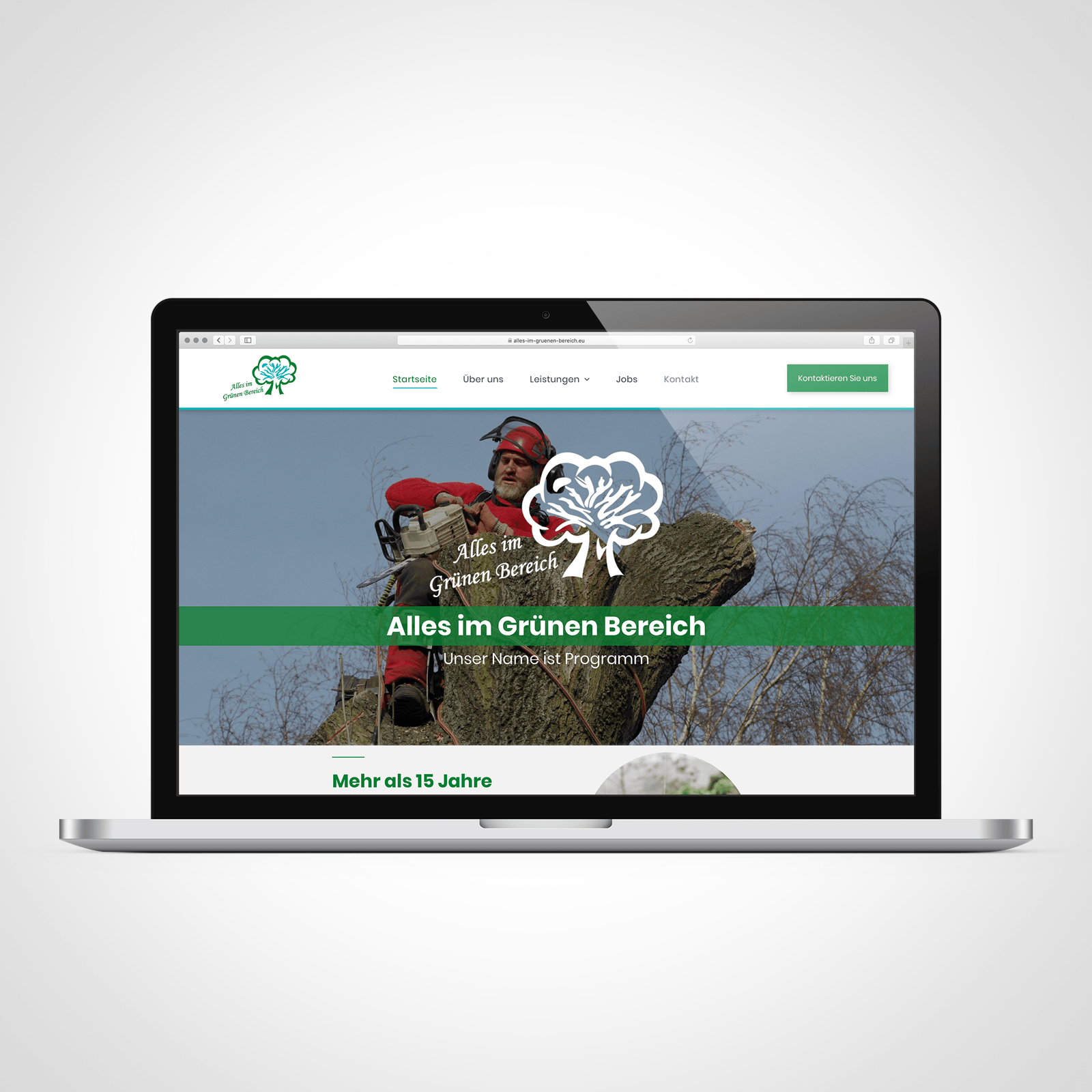 A laptop is open to a website that says alles im grünen bereich