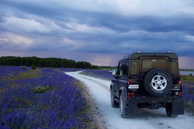 Dark-colored SUV driving on a gravel road through a field of purple flowers, under a cloudy sky.