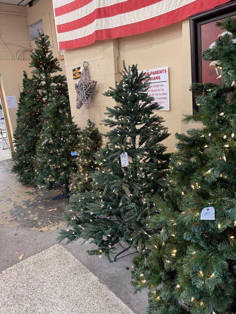 Christmas trees lined up indoors, decorated with lights, under an American flag.