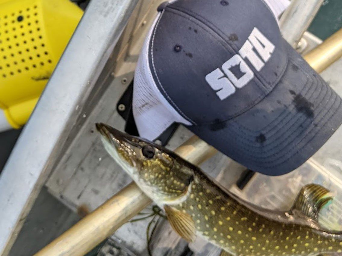 A hat that says sota on it next to a fish