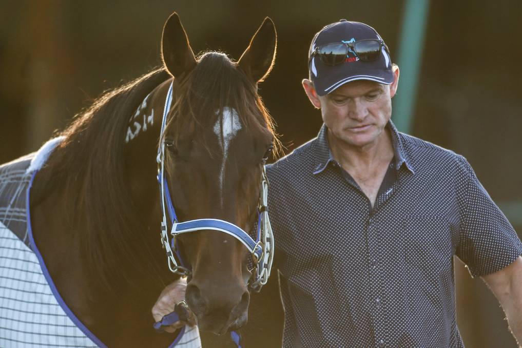 A trainer warms up his horse