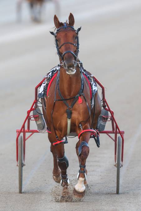 A horse crossing the finish line