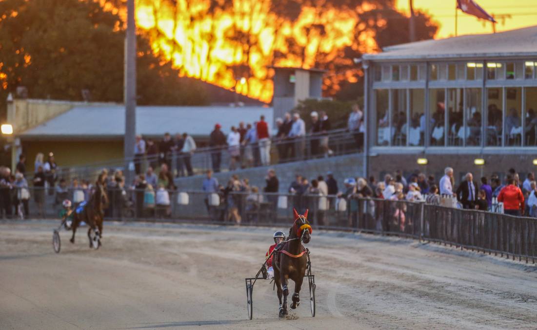 Horses warm up around the track