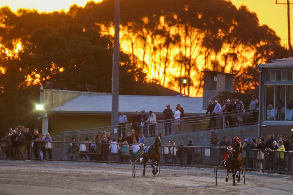 Horses warm up around the track