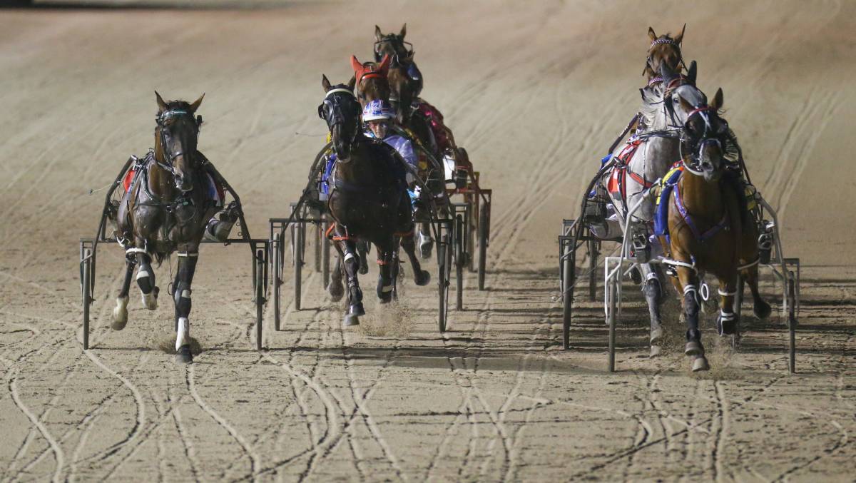Horses competing for the Terang Cup