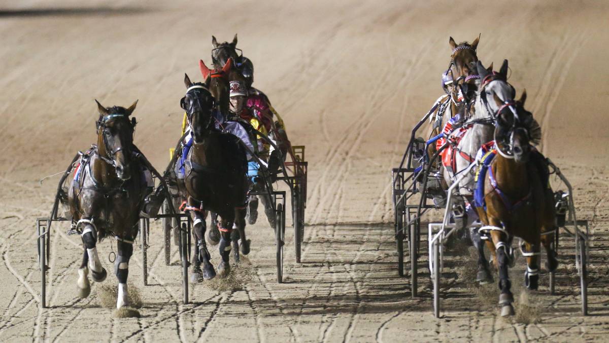Horses competing for the Terang Cup