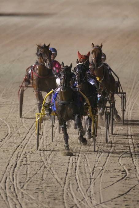 Horses competing for the Terang Cup
