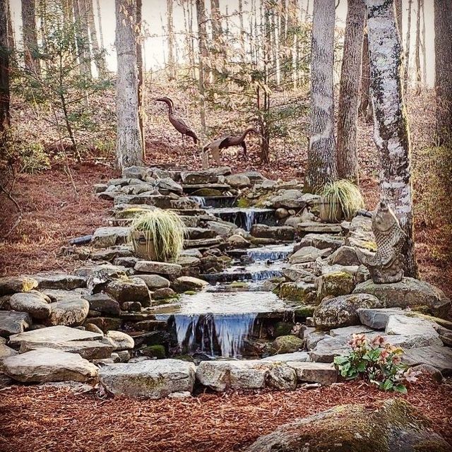 A small waterfall in the middle of a forest