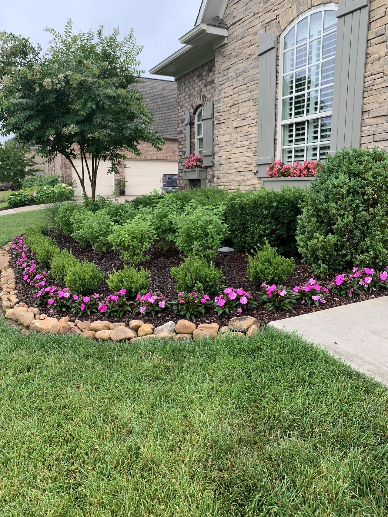 A lush green lawn with purple flowers in front of a brick house.