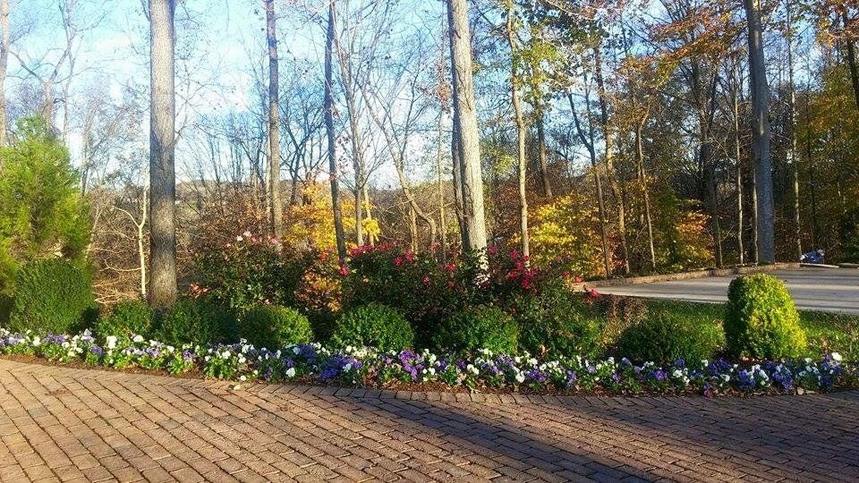 A brick driveway surrounded by trees and flowers on a sunny day.